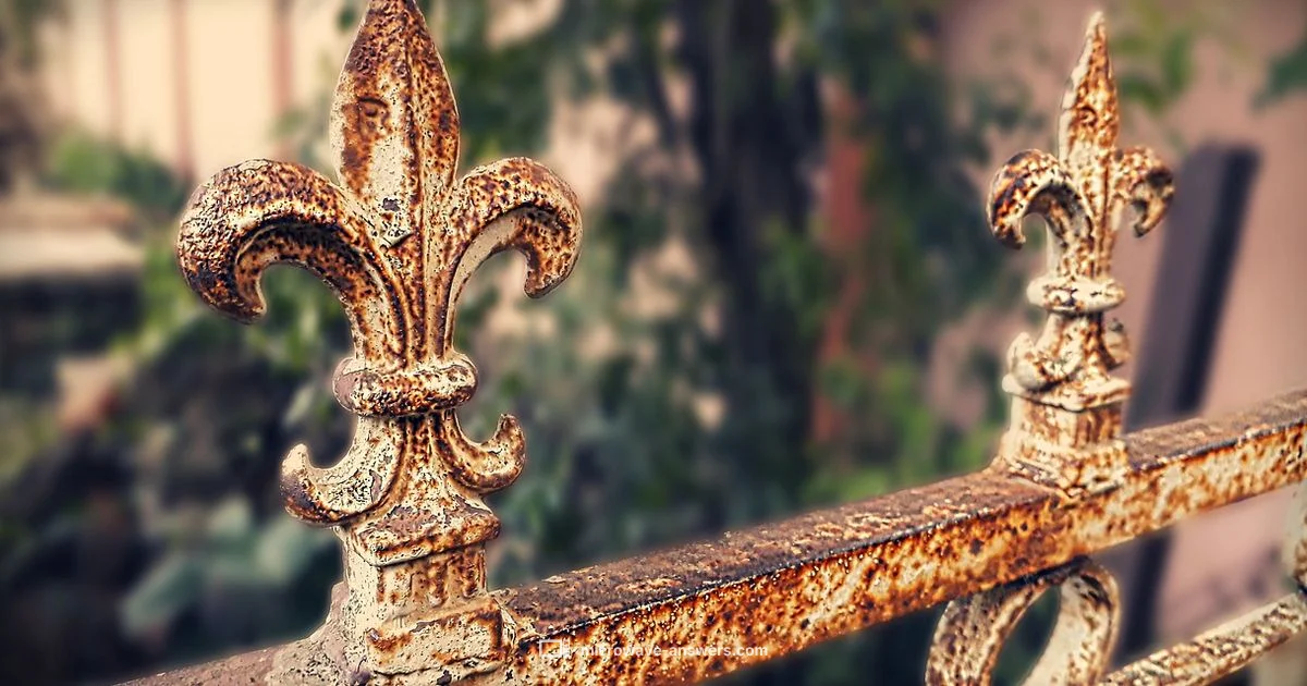 Rust in Microwave - Microwave Answers