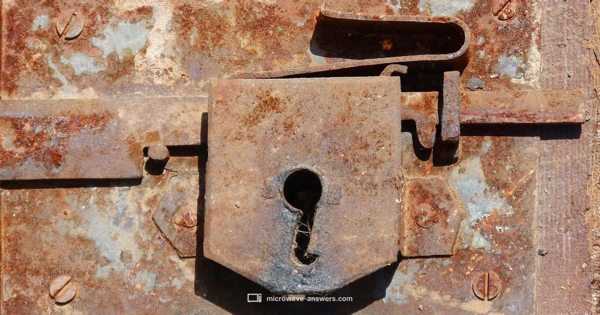 Door Lock Basics - Microwave Answers