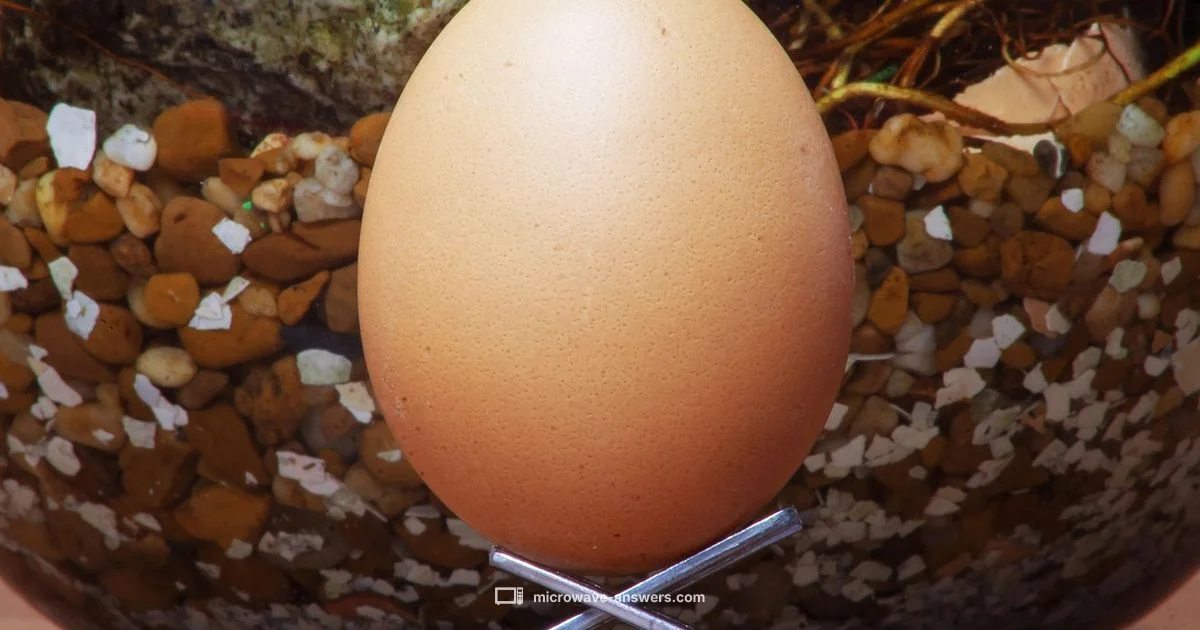Microwave Eggs Guide - Microwave Answers