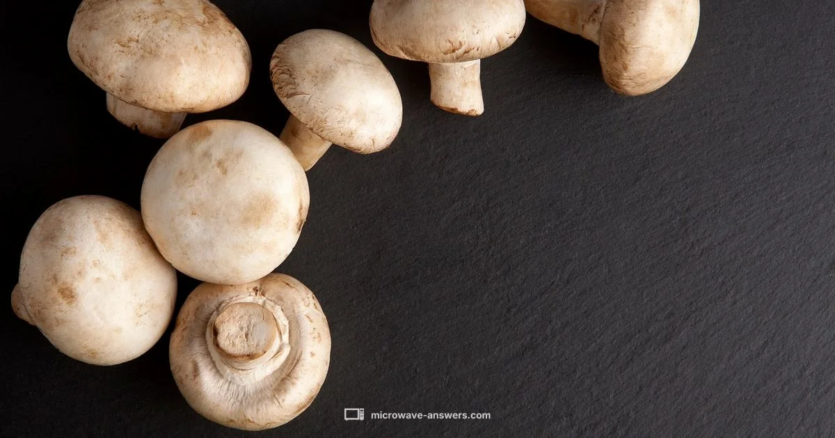 GFCI for Microwaves - Microwave Answers