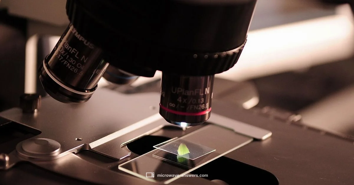 Origin of the Name - Microwave Answers