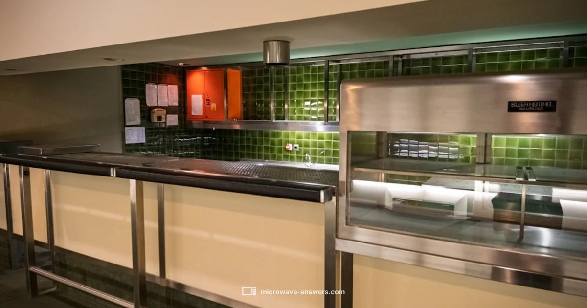 Microwave vs Mini Oven - Microwave Answers