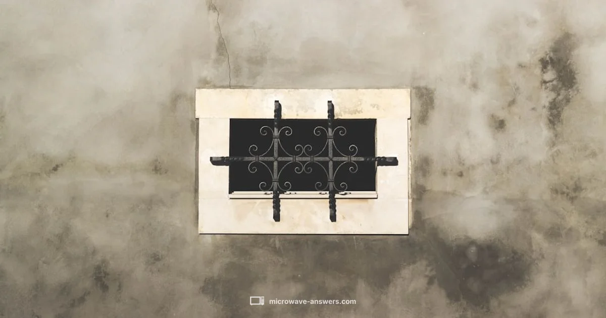 Charcoal Filter Guide - Microwave Answers