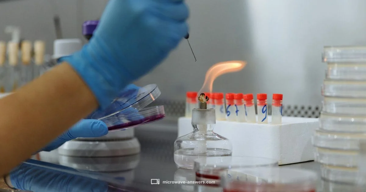Inside Microwave Heat - Microwave Answers