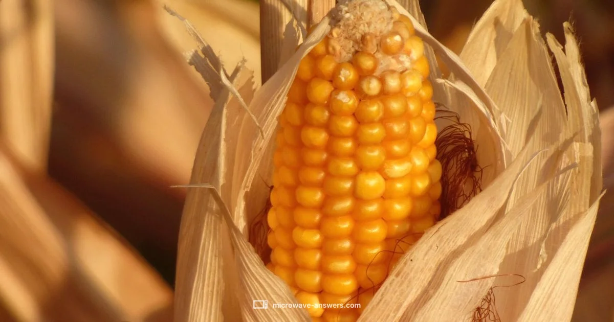 Microwave Corn Guide - Microwave Answers