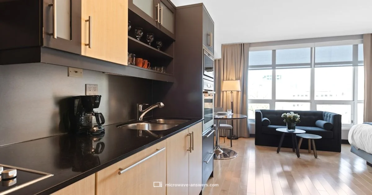 Convection vs Air Fryer - Microwave Answers