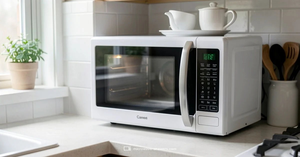Defrost Safely - Microwave Answers