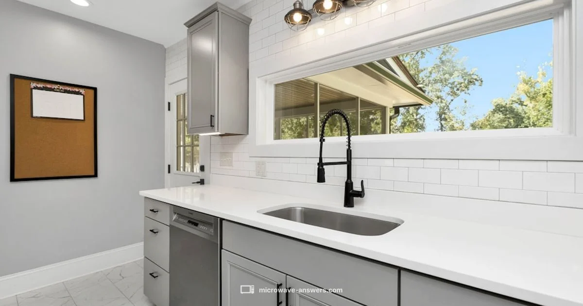 Big Lots Picks - Microwave Answers