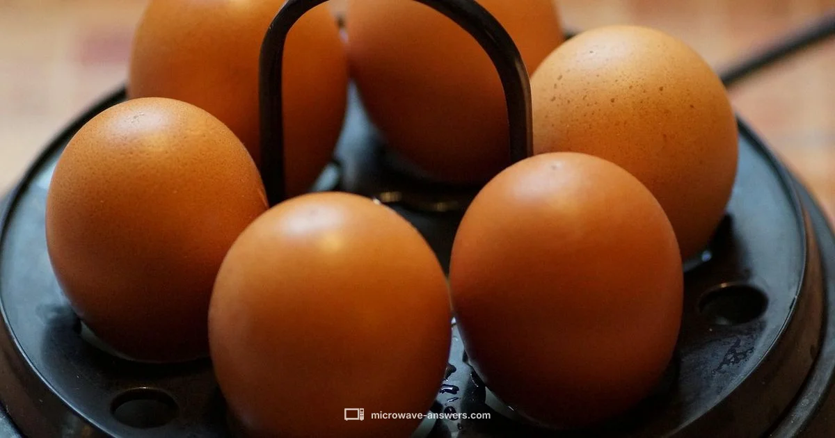 Egg Cooker Setup - Microwave Answers