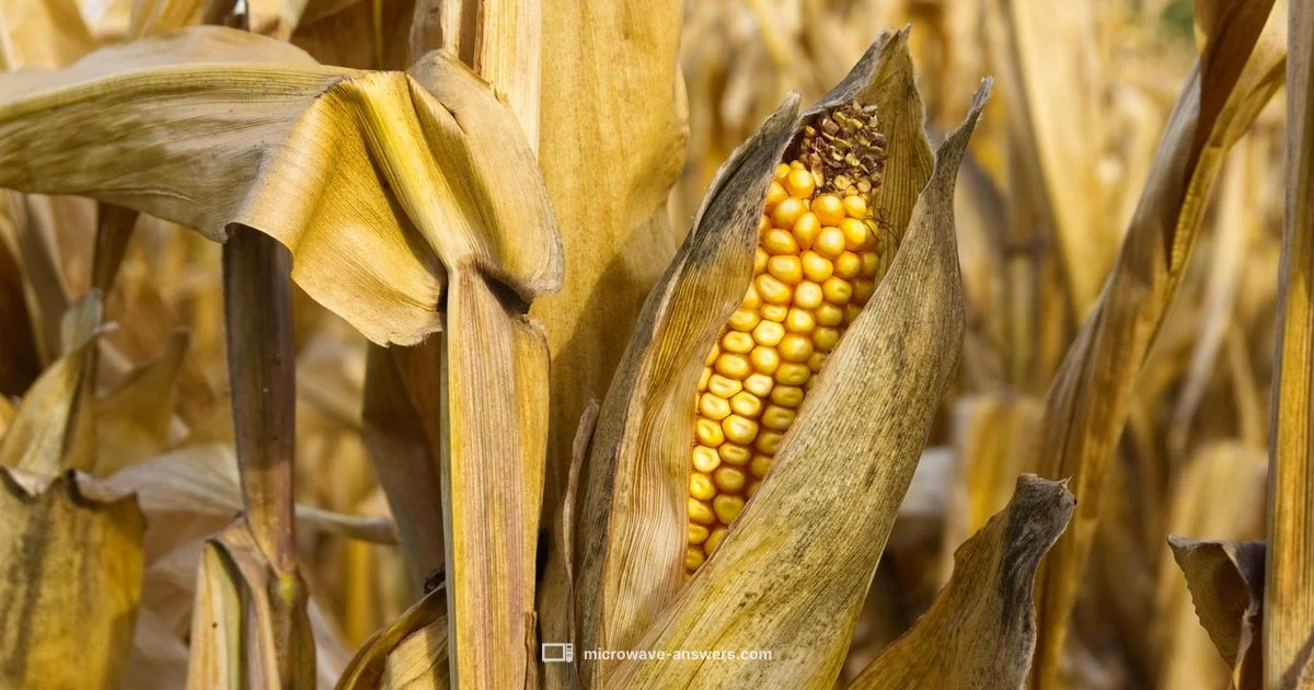 Microwave Corn Guide - Microwave Answers