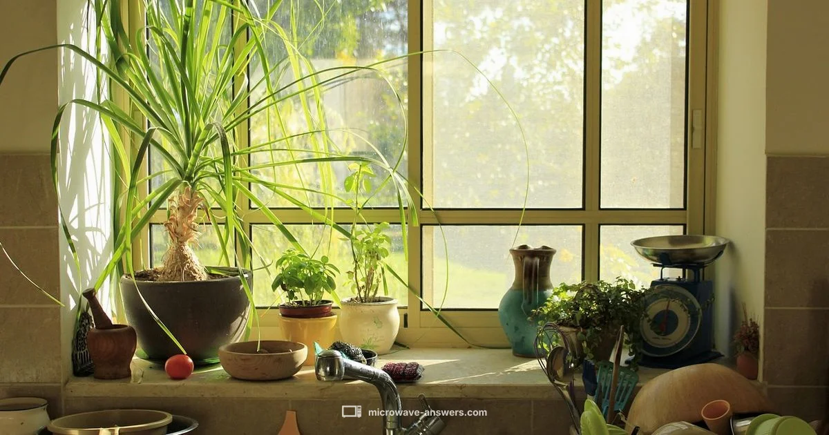 Microwave Melt Guide - Microwave Answers