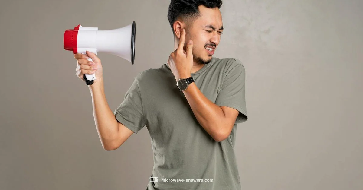 Loud Microwave Guide - Microwave Answers