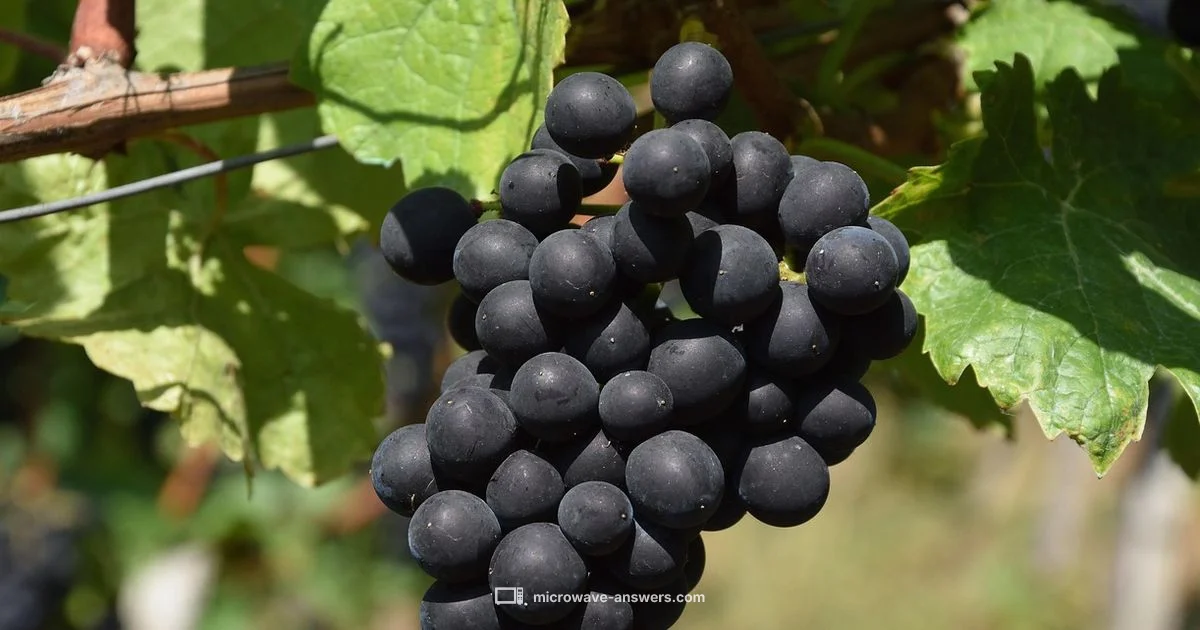 Grape Microwave Risk - Microwave Answers