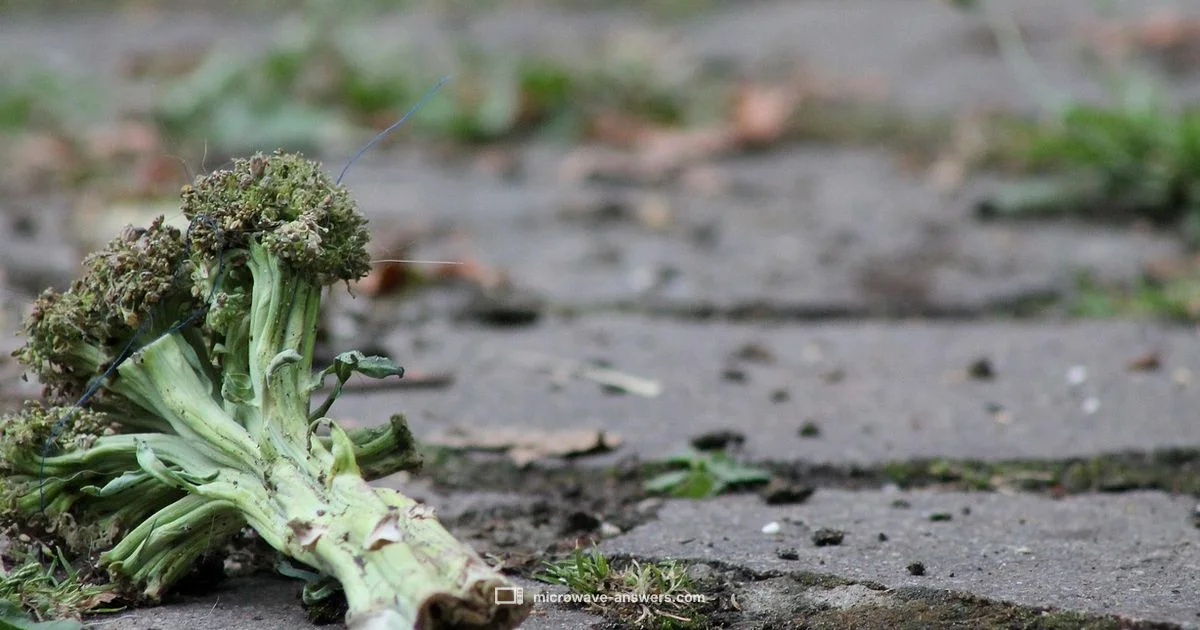 Covering Foods Safely - Microwave Answers