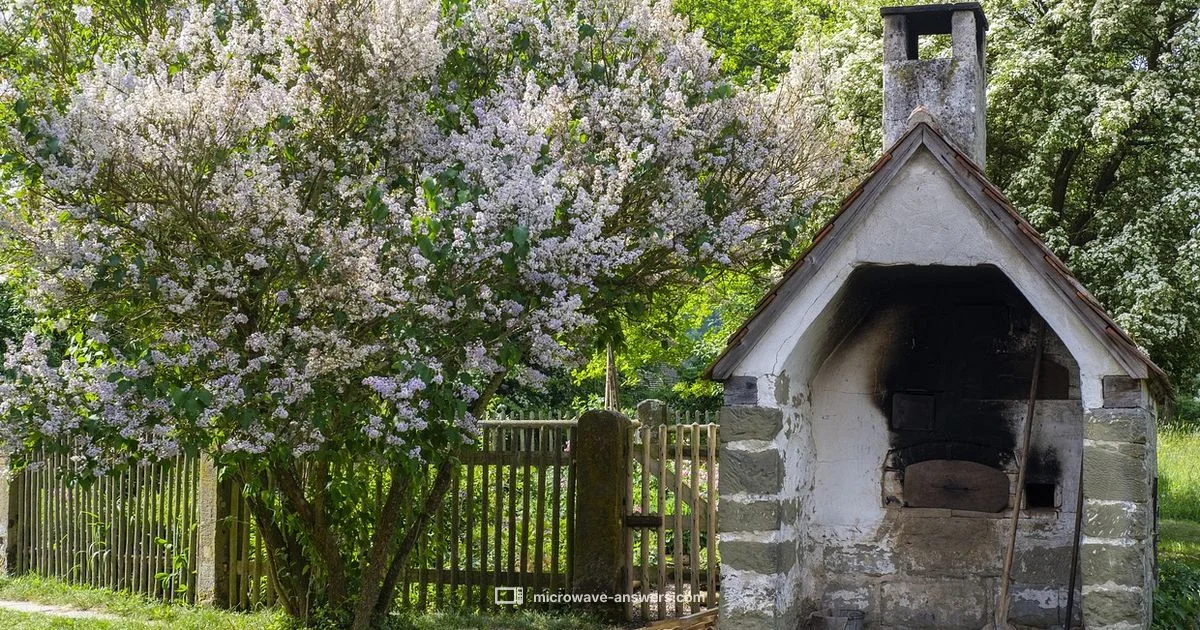 Microwave History - Microwave Answers