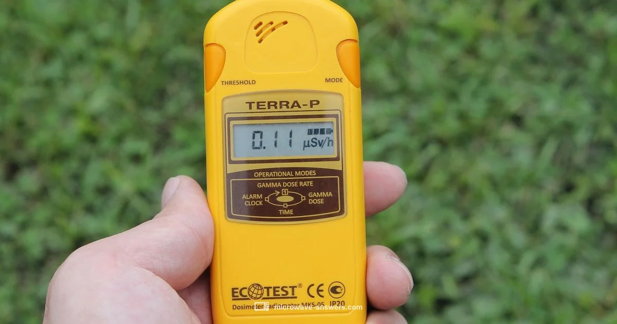 Gamma Ray Myth - Microwave Answers