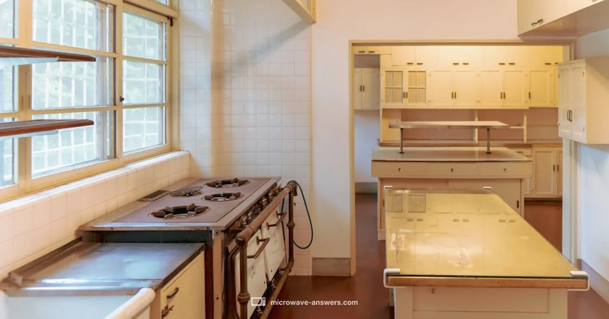 Convection Microwave Overview - Microwave Answers