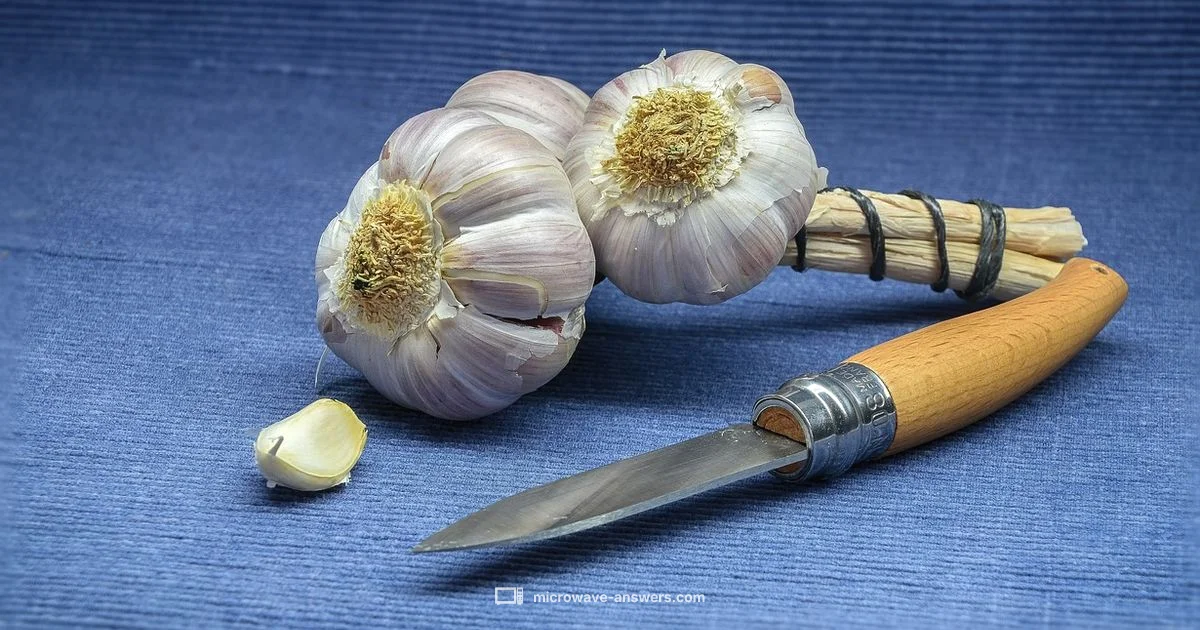 Odor Solutions - Microwave Answers