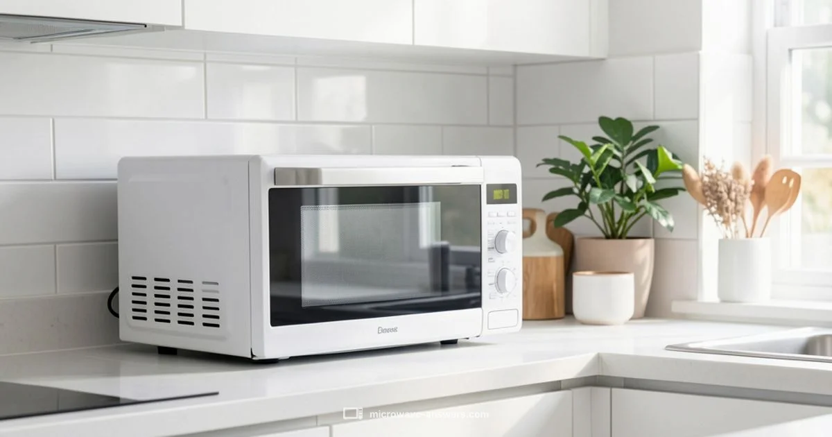 Best Home Microwave - Microwave Answers