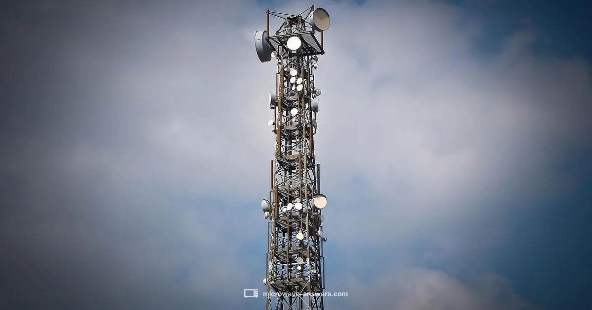 Microwave Basics - Microwave Answers