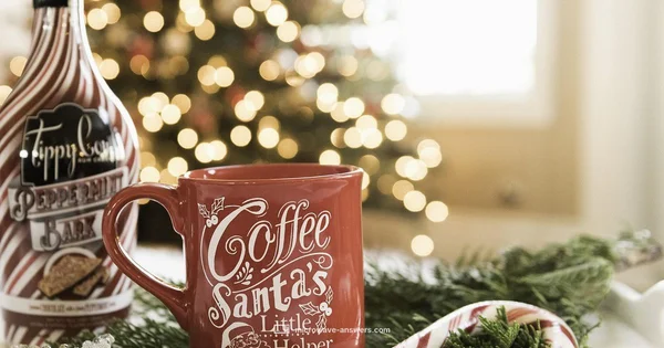 Mug Brownie Basics - Microwave Answers