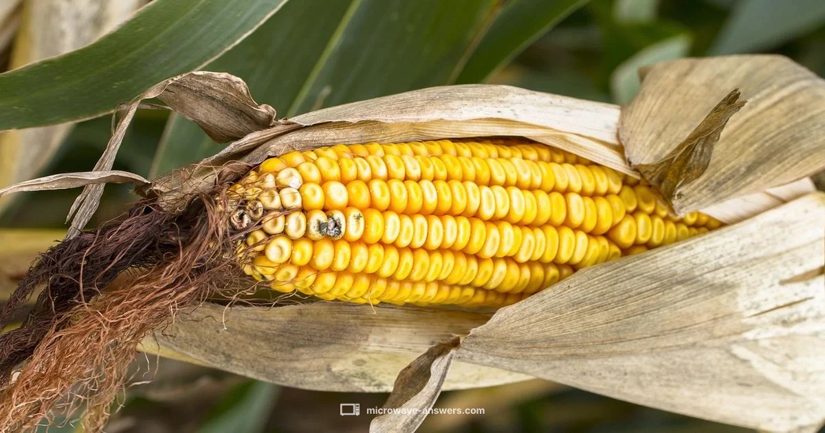 Microwave Corn on Cob Microwave Corn on Cob - Microwave Answers