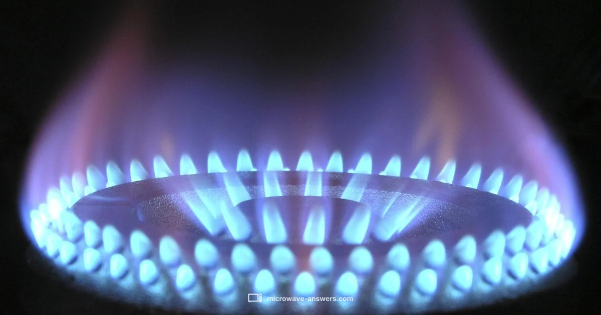 Exterior Heat Check - Microwave Answers