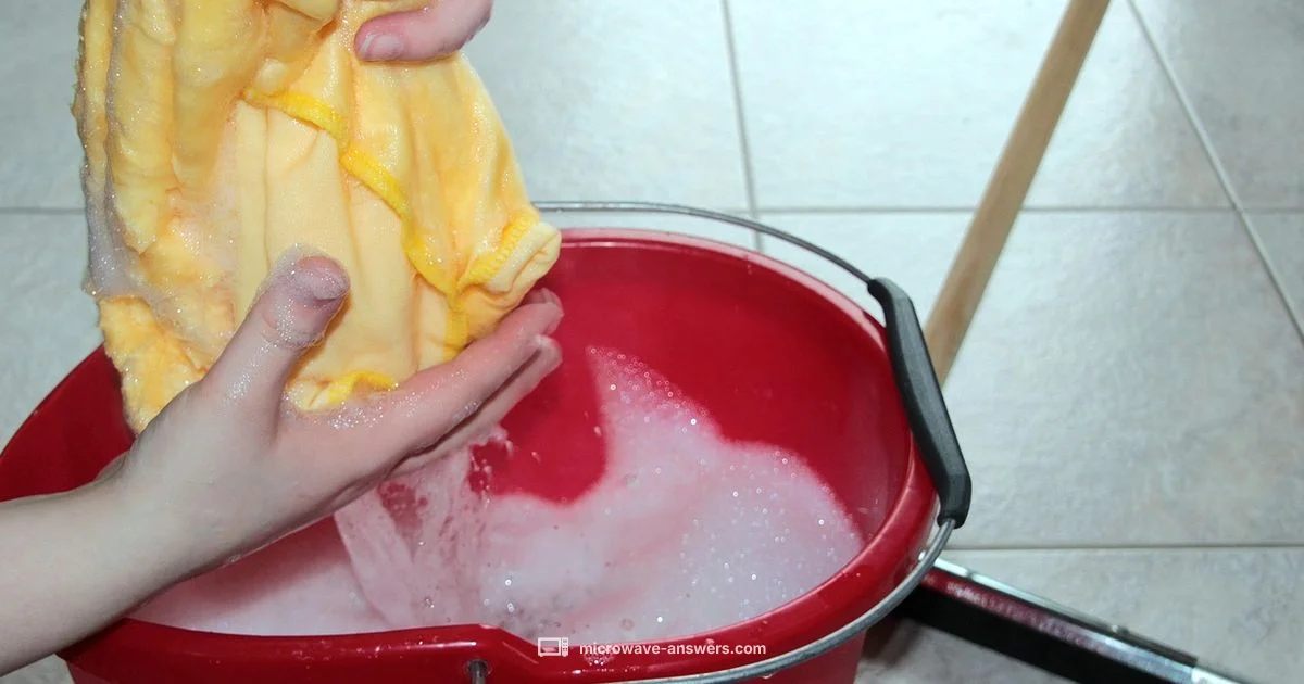 Microwave Cleaning - Microwave Answers