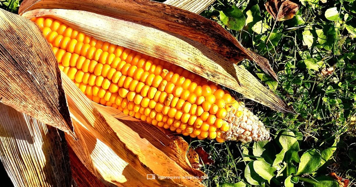 Microwave Corn Guide - Microwave Answers