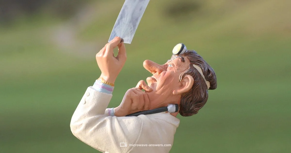 X-Ray vs Microwave Speed - Microwave Answers