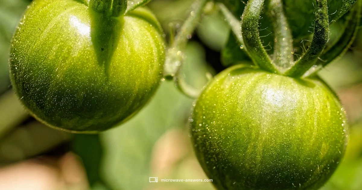 Microwave Basics - Microwave Answers