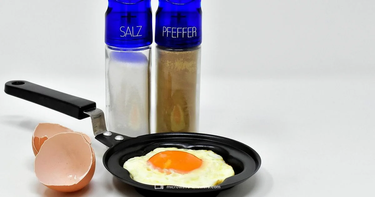 Microwave Omelette - Microwave Answers