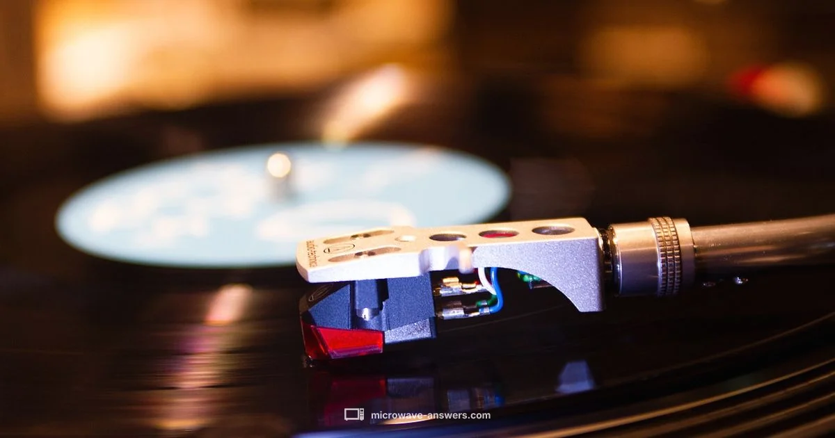 Turntable Basics - Microwave Answers