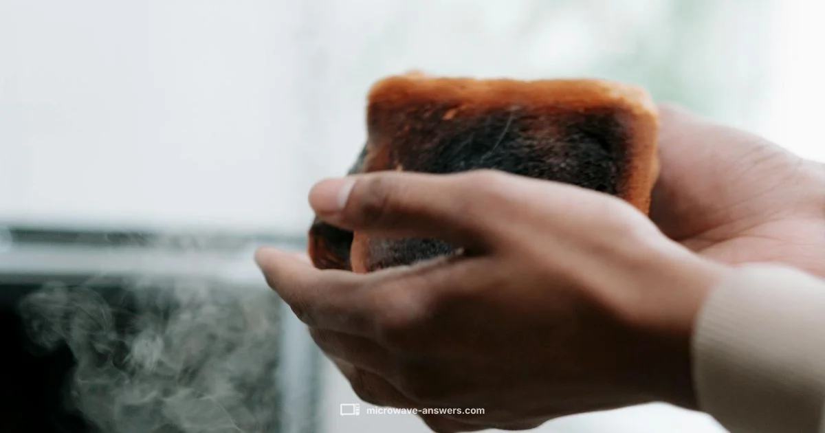 Burnt Odor Fixes - Microwave Answers
