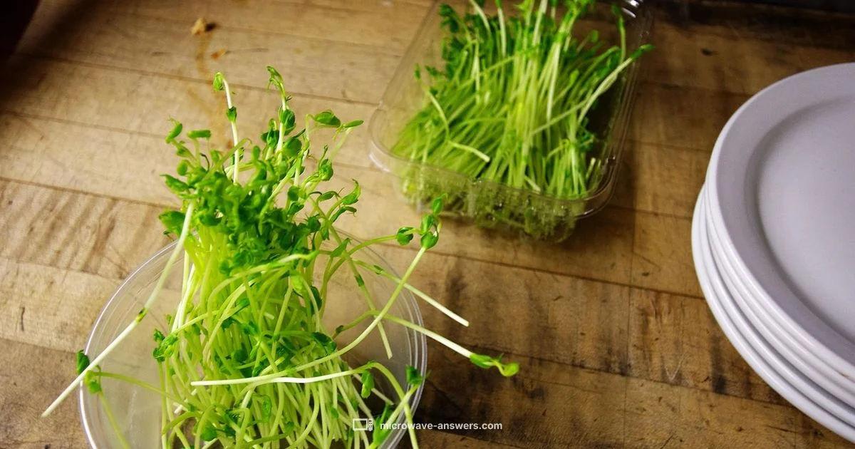 Air Fryer Reheat Guide - Microwave Answers