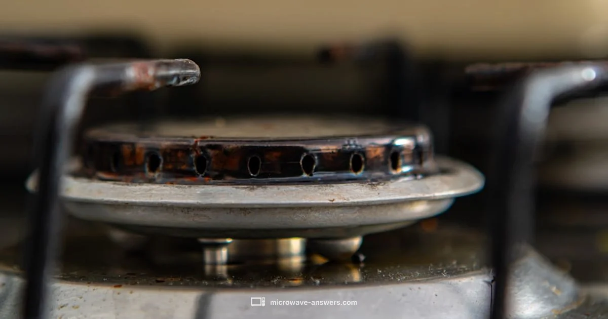 Magnetron Basics - Microwave Answers