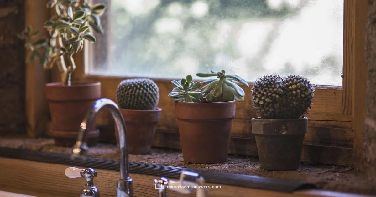 Safe Microwave Handling - Microwave Answers