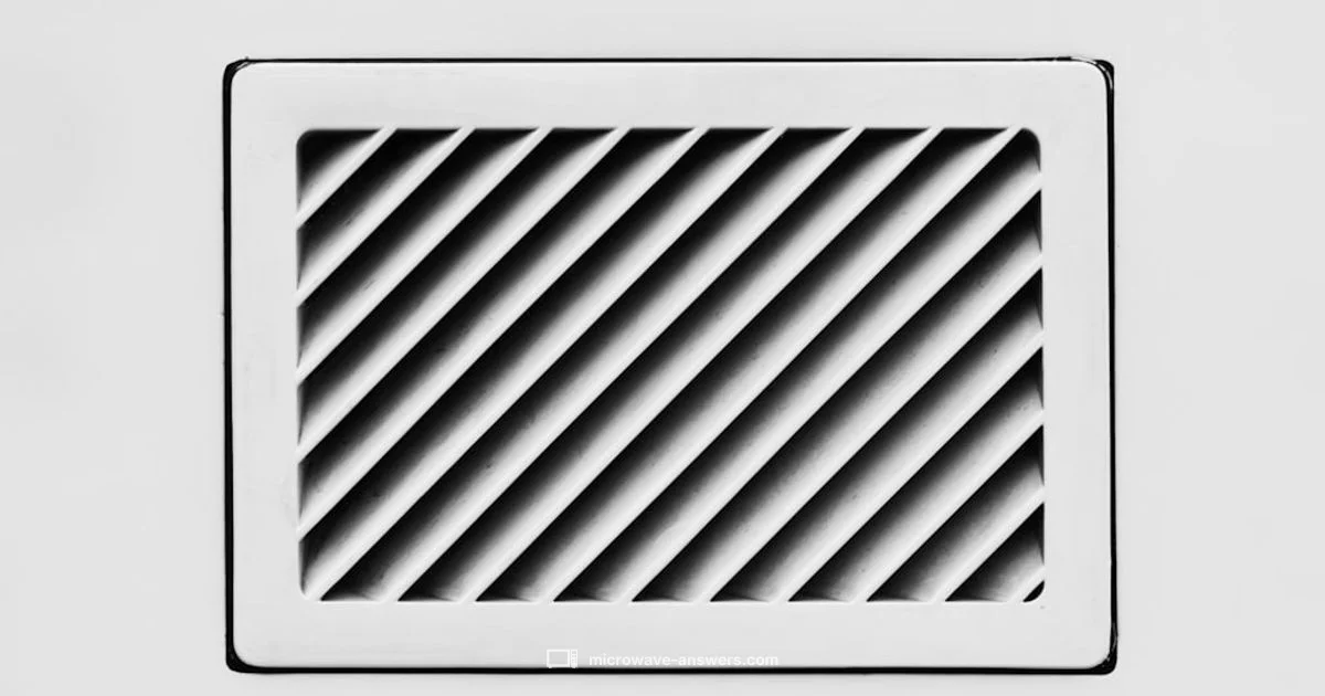 Vent Filter Cleaning - Microwave Answers