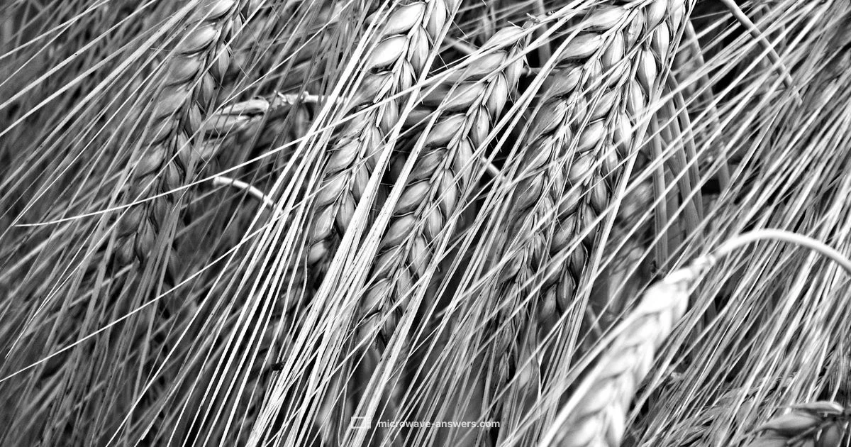 Microwave Corn Fast Microwave Corn Fast - Microwave Answers