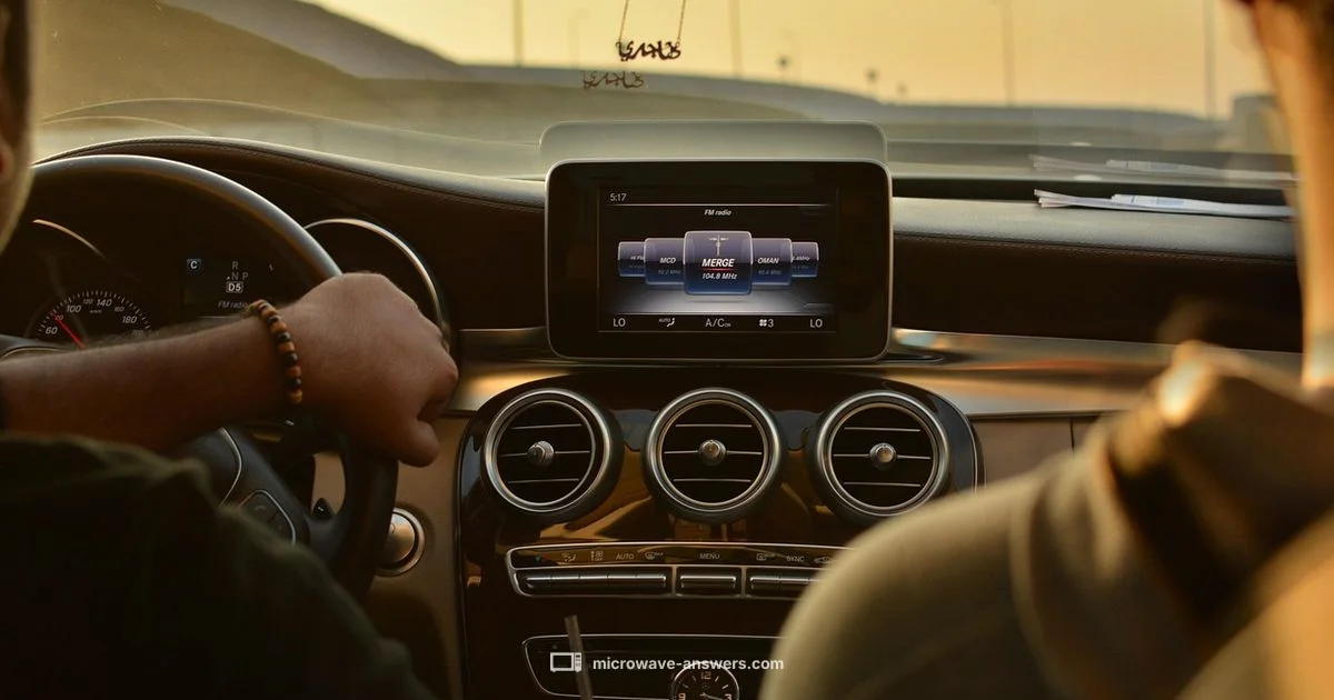 Car Microwave Guide - Microwave Answers