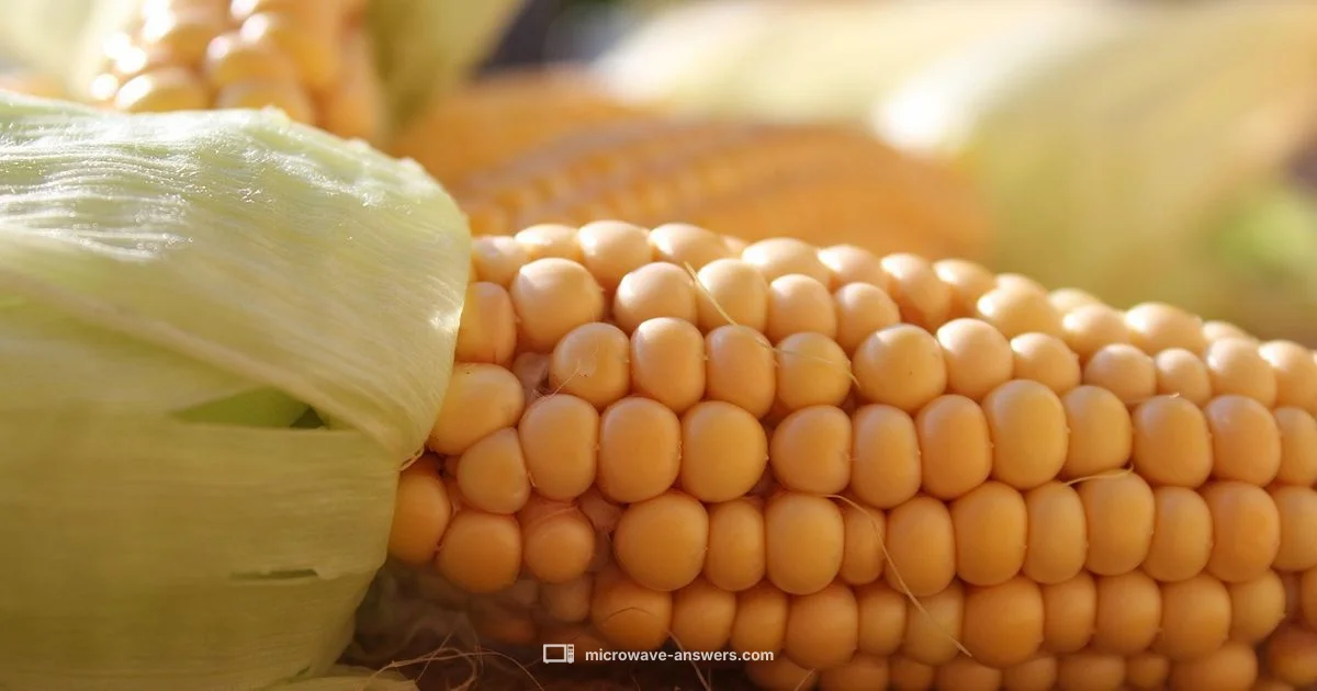 Microwave Corn in Husk Microwave Corn in Husk - Microwave Answers