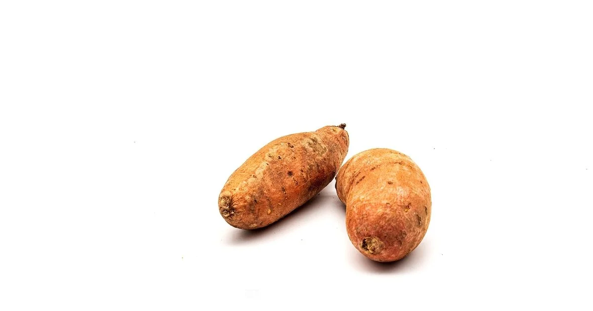 Microwave Timing - Microwave Answers