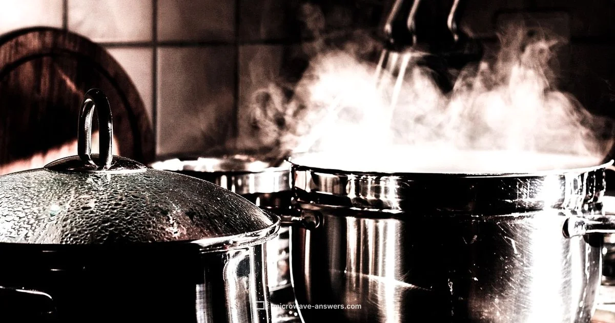 Microwave vs Steam Oven - Microwave Answers