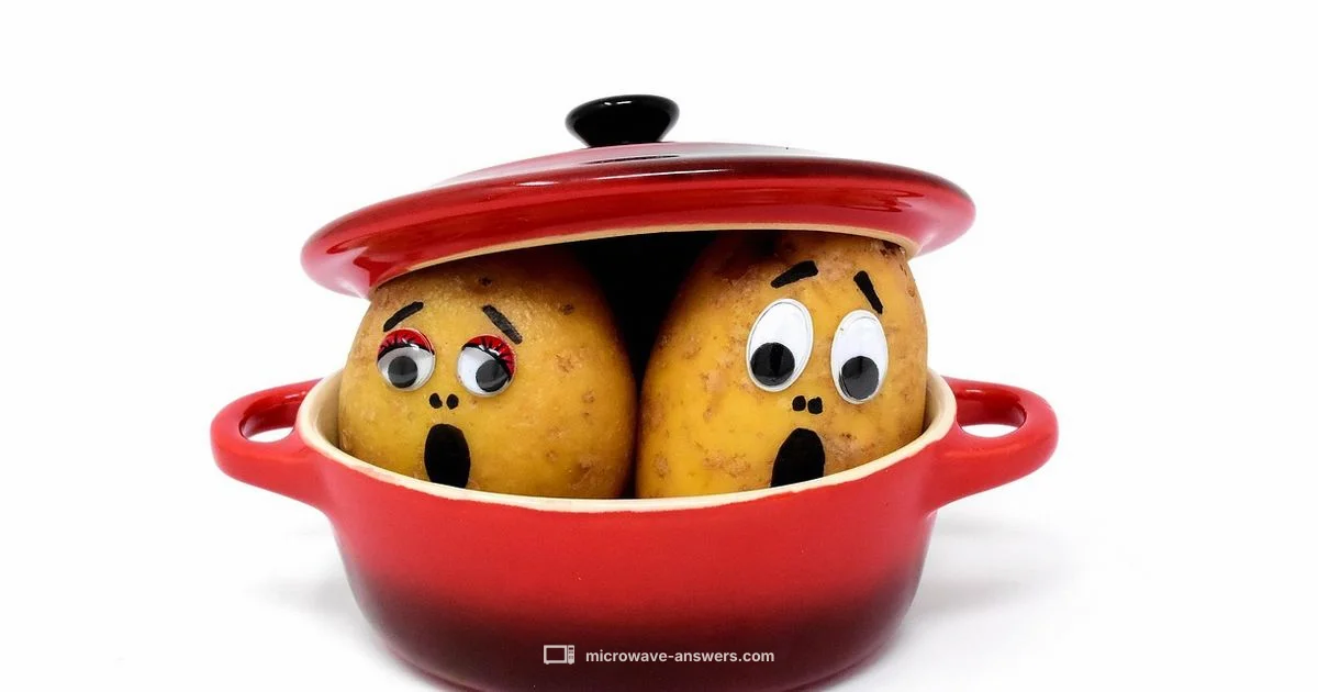 Microwave Mash Setup - Microwave Answers