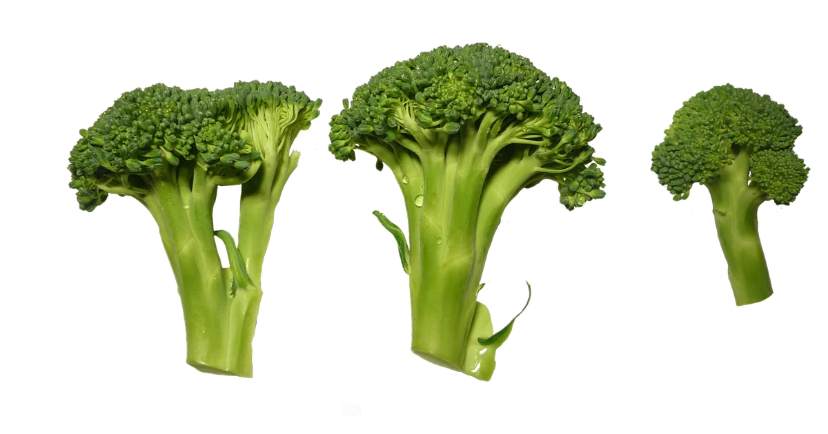 Steam Broccoli in Microwave - Microwave Answers