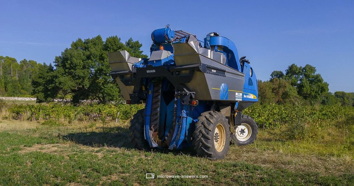 Grape Plasma - Microwave Answers