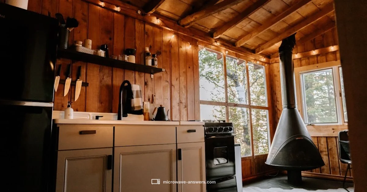 Budget Microwave Picks - Microwave Answers