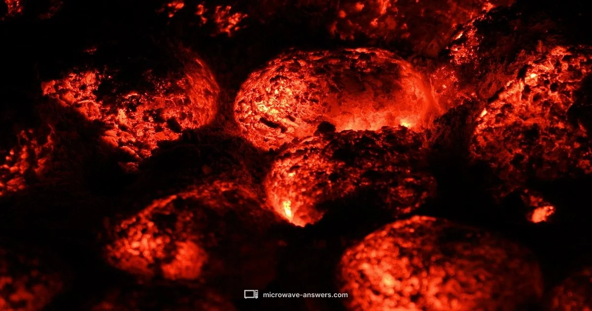 Charcoal Filter Guide - Microwave Answers