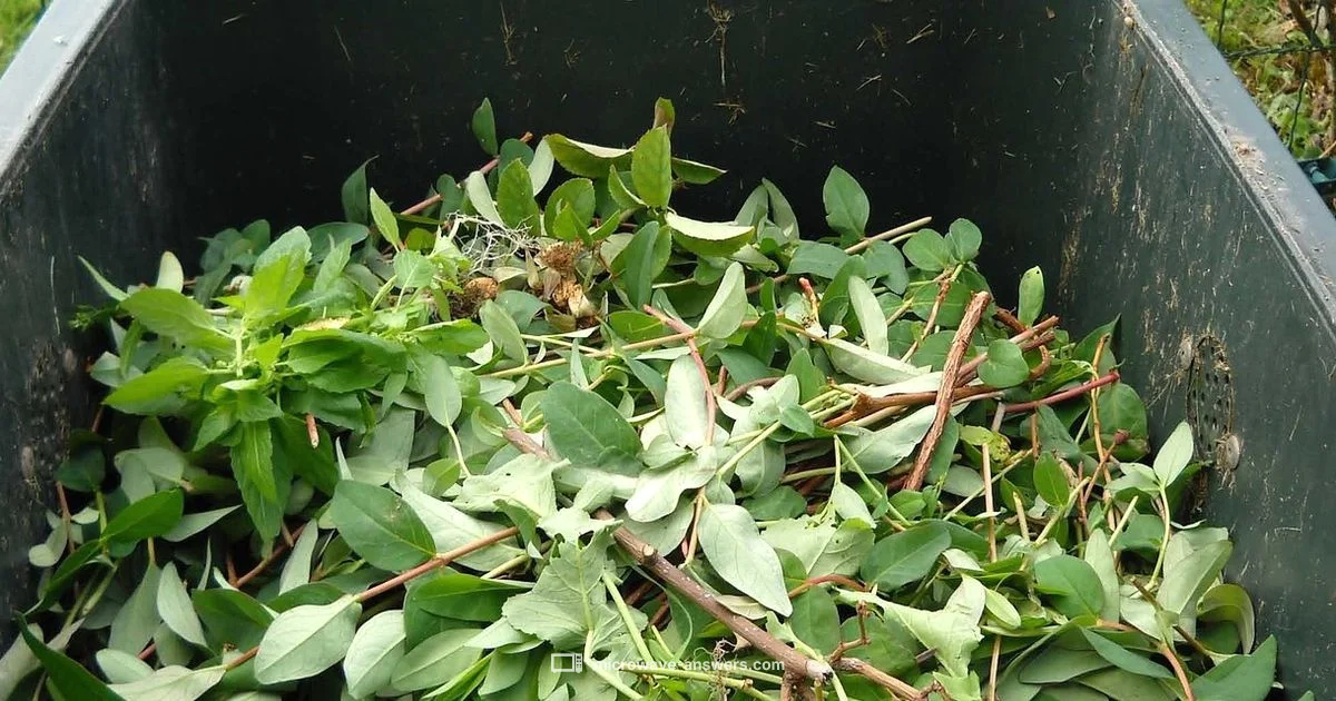 Microwave E-Waste - Microwave Answers