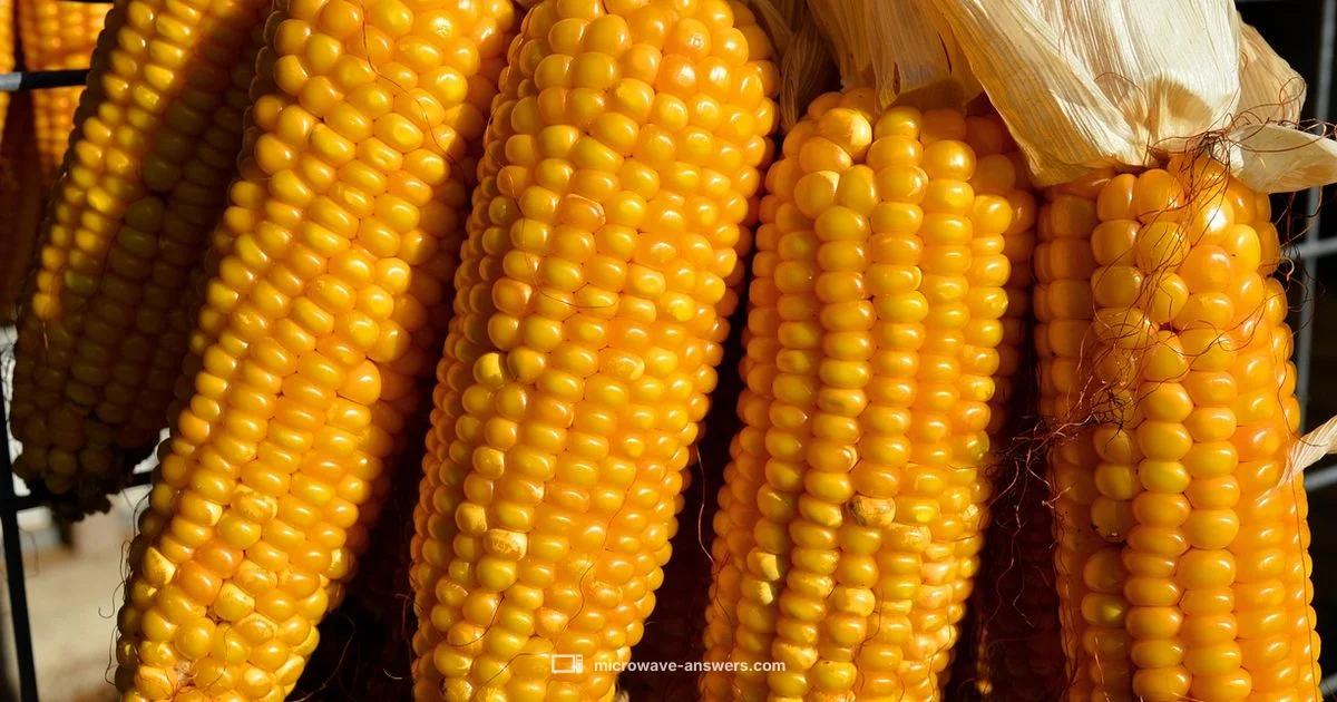 Reheat Corn Efficiently - Microwave Answers